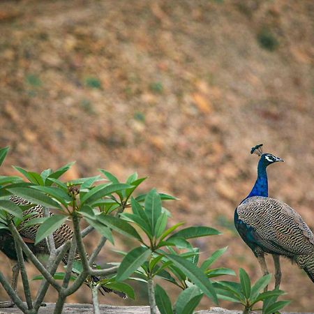 Open House By Stayvista - Nestled In Nature, Featuring A Swimming Pool & Expansive Lawn For A Serene Retreat Shikrapur Exteriör bild